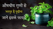 Benefits of peppermint